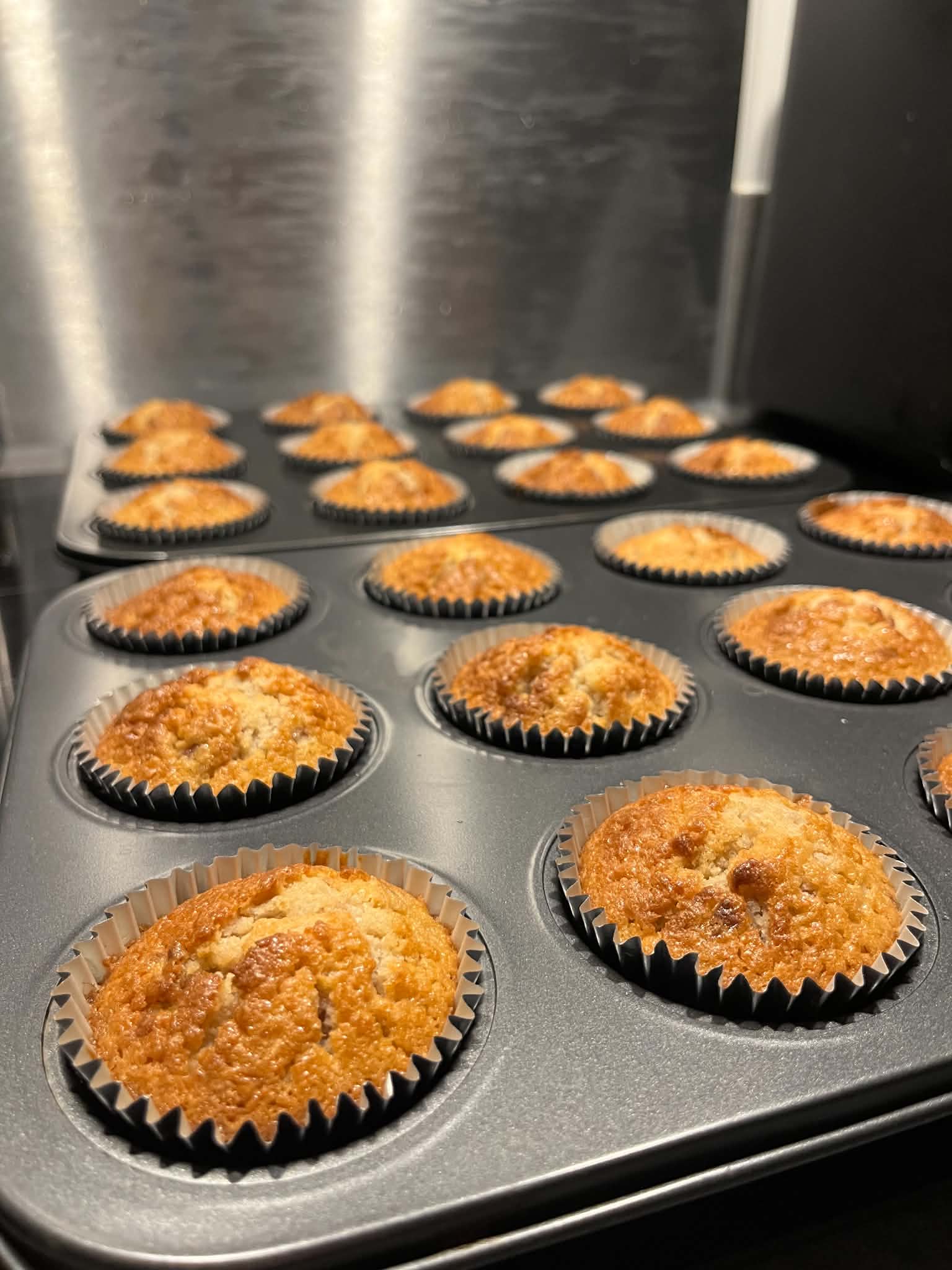 Freshly baked cupcakes.